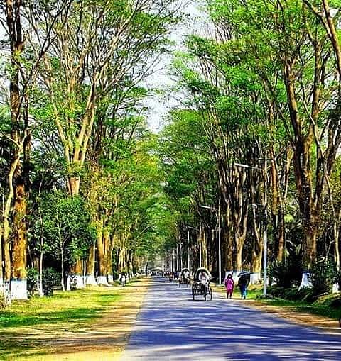 রাজশাহী বিশ্ববিদ্যালয়ের প্যারিস রোড। ছবি: লেখক