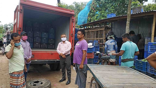 ডাক বিভাগের বিশেষ গাড়িতে বিনা খরচায় আম যাচ্ছে ঢাকায়। আজ রোববার সকালে নাটোরের বাগাতিপাড়ার তমালতলা আমবাজারে। ছবি: প্রথম আলো