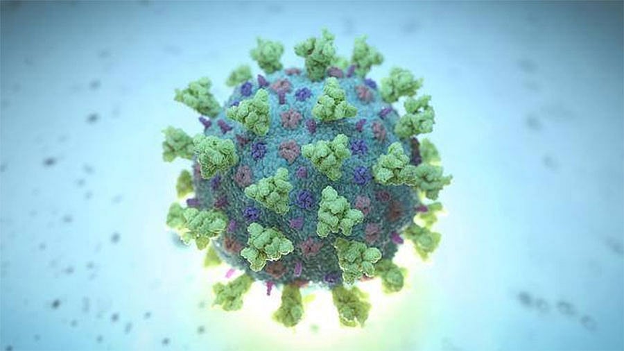 প্রতীকী ছবি: রয়টার্স