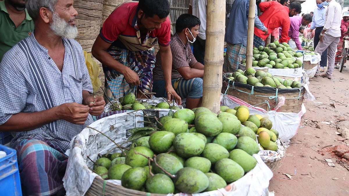ফাইল ছবি