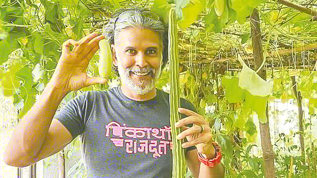 নিজের বাগানের সবজি হাতে মিলিন্দ সুমন