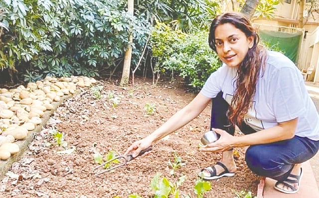 বাগানের কাজে জুহি