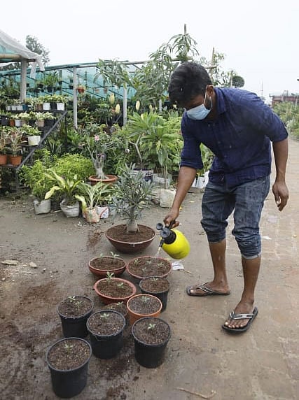 ক্রেতা নেই। তবুও অযত্নে তো ফেলে রাখা যায় না নার্সারিকে। তাই চলছে পরিচর্যা। রাজধানীর সবুজ বাংলা নার্সারি থেকে আজ তোলা। ছবি: তানভীর আহম্মেদ
