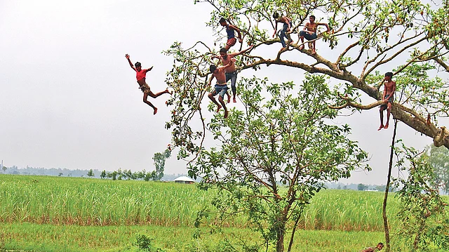 চারদিকে এখন পানিতে টইটম্বুর। গাছ বেয়ে মগডালে চড়ে পানিতে ঝাঁপ। একজনের পেছনে অন্যজন। আনন্দে মেতেছে শিশু–কিশোরেরা। গতকাল রংপুর সদরের বৈকুণ্ঠপুর এলাকায়।  ছবি: মঈনুল ইসলাম