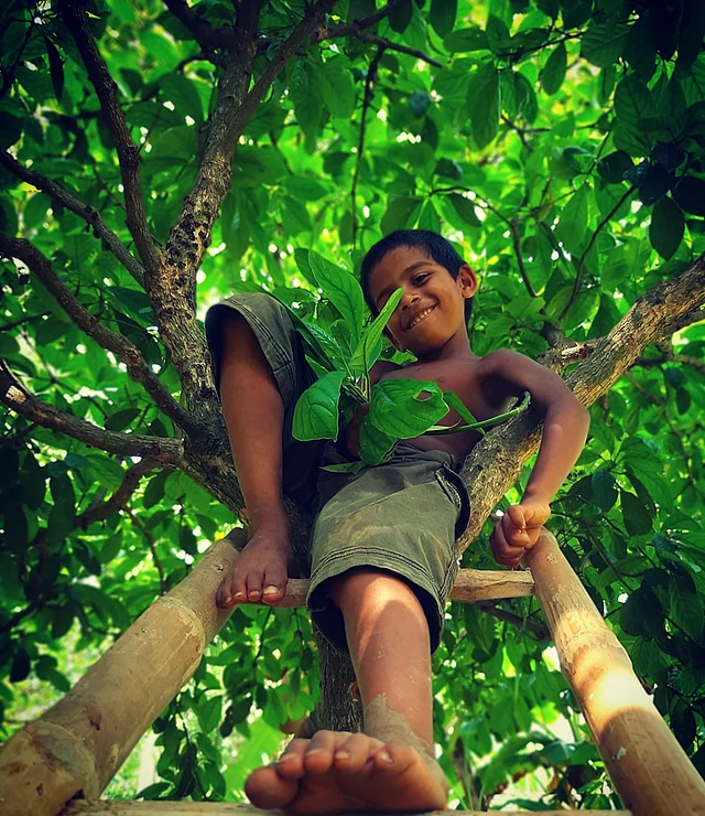 ভ্যাপসা গরমেও বাবা-মা খড়ের গাদা তৈরিতে ব্যস্ত। ছোট্ট শিশুটি গাছের ডালে বসে। ছবি: লেখক
