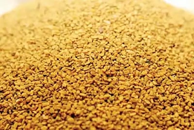 মেথি পারে নানা রকম রোগ প্রতিরোধ করতে। ফাইল ছবি