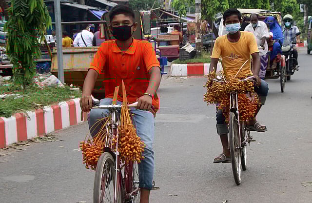 নানিবাড়ি বেড়াতে গিয়েছিল দুই কিশোর। সেখান থেকে খেজুর নিয়ে সাইকেলে করে বাড়িতে ফিরছেন তারা। স্টেশন সড়ক, বগুড়া, ৩ জুলাই। ছবি: সোয়েল রানা