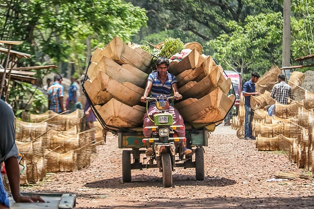 হাট থেকে নৌকা কিনে তা নসিমনে করে নিয়ে যাওয়া হচ্ছে। আটঘর, নেছারাবাদ, পিরোজপুর, ৩ জুলাই। ছবি: সাইয়ান