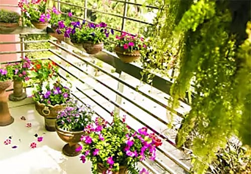 বারান্দায় এমন বাগান মনে প্রশান্তি এনে দেবে। ছবি: অধুনা