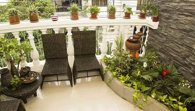 শহুরে জীবনে সবুজের ছোঁয়া পেতে অনেকেই টবের গাছ দিয়ে ঘর সাজান৷