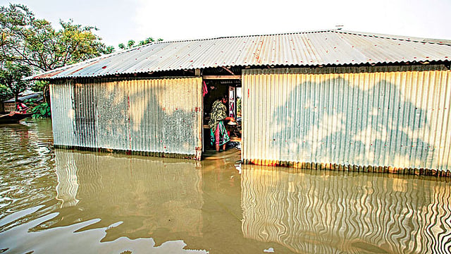 যমুনার পানি বাড়ায় বগুড়ার সারিয়াকান্দিতে দুর্ভোগে পড়েছে বানভাসি মানুষ। বুধবার দলিকার চরে। ছবি: প্রথম আলো