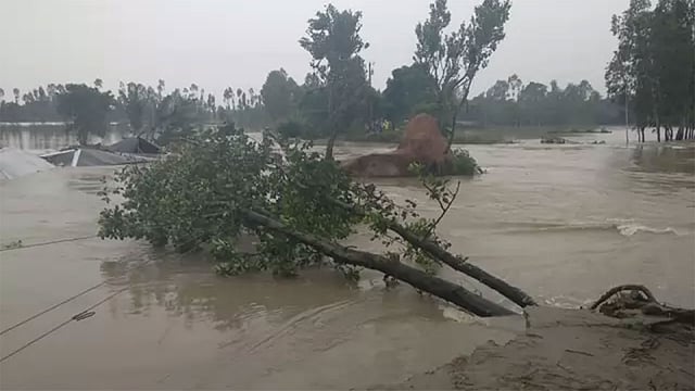 প্রথম আলো ফাইল ছবি।