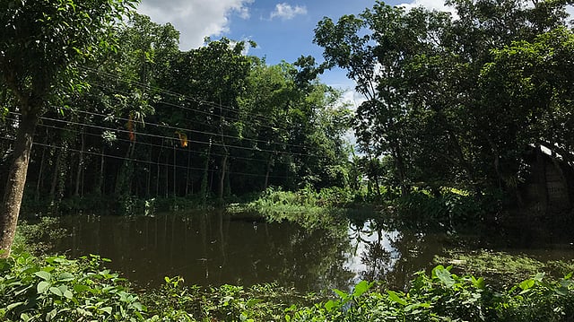 গ্রামের সবকিছুতেই রয়েছে এক অন্য রকম মায়া। ছবি: লেখক