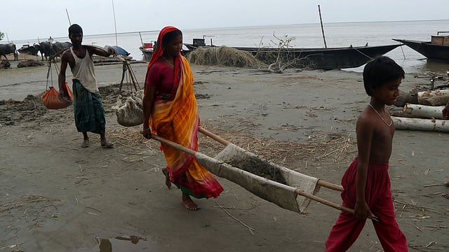 যমুনার ভাঙনে দুই দফা বসতবাড়ি ভেঙে গেছে মাজেদ–আকলিমা দম্পত্তির। এখন নতুন করে উঁচু স্থানে ঘর নির্মাণের জন্য চর থেকে মাটি নিয়ে যাচ্ছেন। গতকাল শনিবার বগুড়ার সারিয়াকান্দি উপজেলার মানিকদাইড় চরে। ছবি: সোয়েল রানা