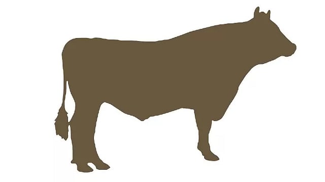 প্রতীকী ছবি