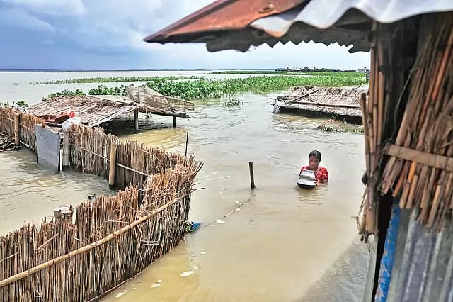 ফাইল ছবি