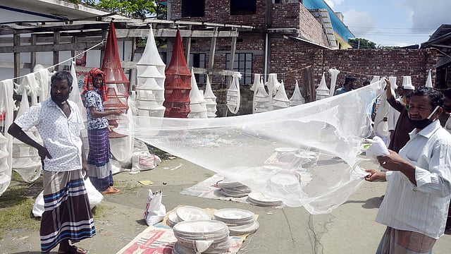 বাঁশের তৈরি চাঁইয়ের বিকল্প হিসেবে জনপ্রিয় হয়ে উঠেছে চাক জাল। হুবহু বুচনা চাঁইয়ের মতো। শুধু বাঁশের পরিবর্তে সুতার জাল ব্যবহার করে এই জাল তৈরি করা হয়। ছবি: প্রথম আলো