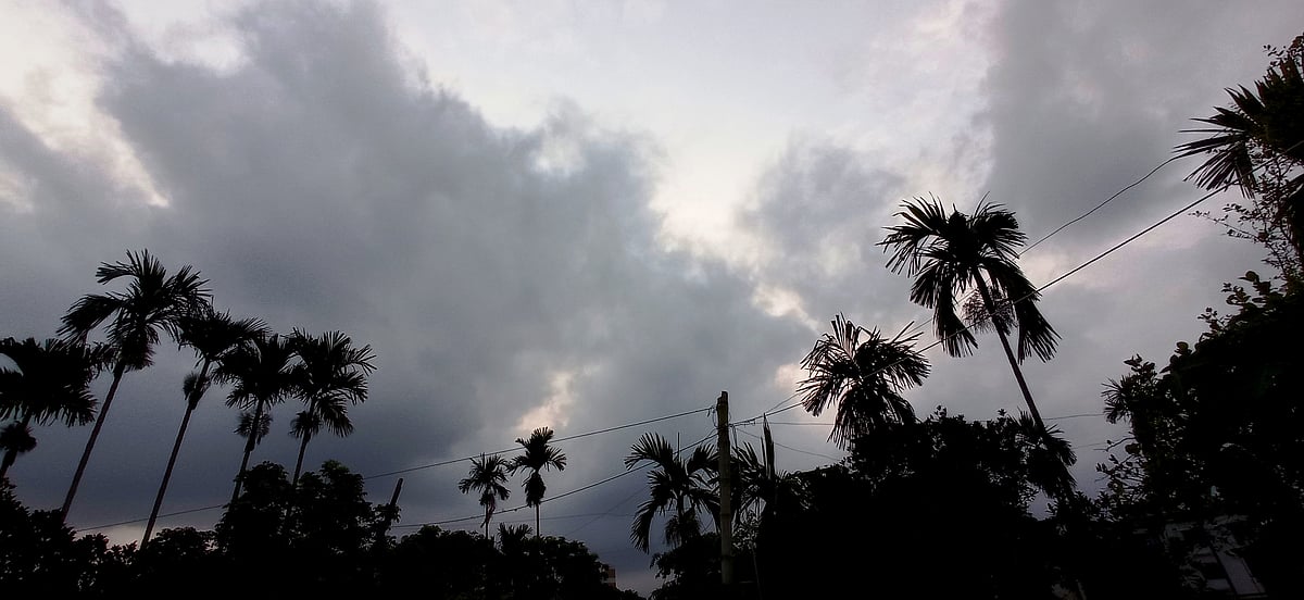 প্রথম আলো ফাইল ছবি