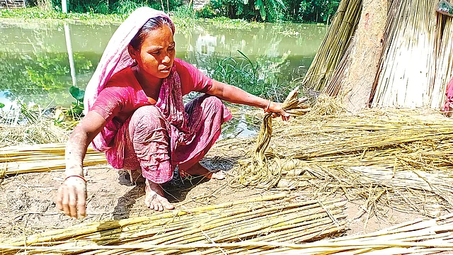 পাটের আঁশ ছাড়াচ্ছেন এক নারী।  প্রথম আলো