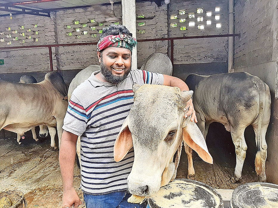 নানা উদ্ভাবনী চিন্তা কাজে লাগিয়ে ব্যতিক্রম এক খামার গড়েছেন আরাফাত। ছবি: স্বপ্ন নিয়ে