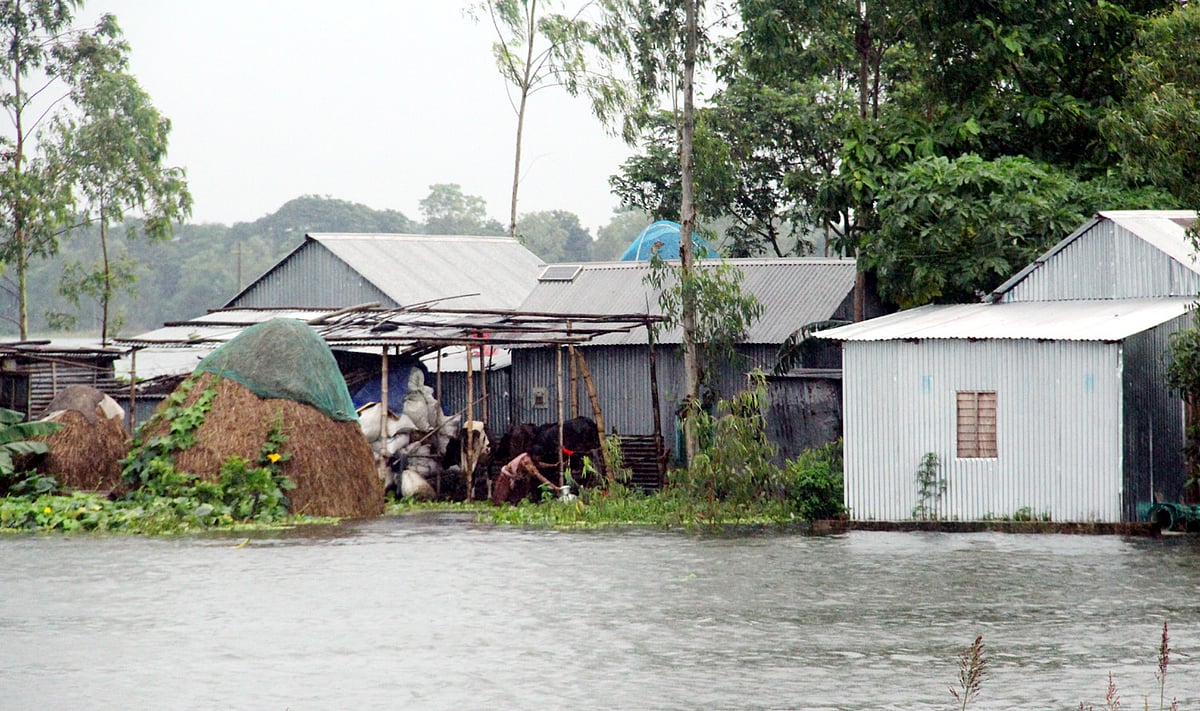 দৌলতপুর ও হরিরামপুরের পর এবার মানিকগঞ্জের সদর ও ঘিওর উপজেলায় বন্যা দেখা দিয়েছে। মঙ্গলবার সকালে সদর উপজেলার দীঘি গ্রামে। ছবি: আবদুল মোমিন