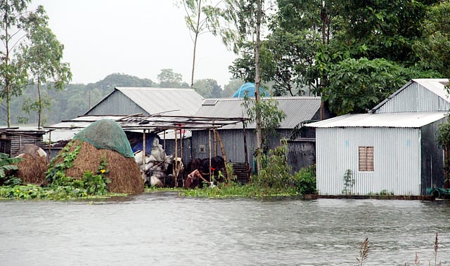 দৌলতপুর ও হরিরামপুরের পর এবার মানিকগঞ্জের সদর ও ঘিওর উপজেলায় বন্যা দেখা দিয়েছে। মঙ্গলবার সকালে সদর উপজেলার দীঘি গ্রামে। ছবি: আবদুল মোমিন