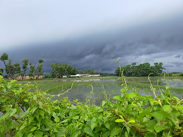 আকাশে প্রচণ্ড রোদ। হঠাৎ আবার বৃষ্টি। মেঘে মেঘে চেয়েছে আকাশ। এ বুঝি এল অঝোর বৃষ্টি। কিন্তু মেঘ কেটে আবারও রোদ। এমনি রোদ-মেঘ-বৃষ্টির খেলা প্রকৃতিতে। হঠাৎ হঠাৎ প্রকৃতির রূপ পরিবর্তনে বিস্মিত হওয়াই বটে। দিঘলী এলাকা, সদর উপজেলা, লক্ষ্মীপুর, ২২ জুলাই। ছবি: রাজীব হোসেন রাজু
