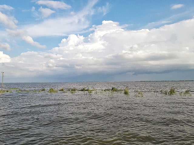 চার দিকে থইথই পানি। চলনবিল, তাড়াশ, সিরাজগঞ্জ, ২১ জুলাই। ছবি: সজীব খান রিগান