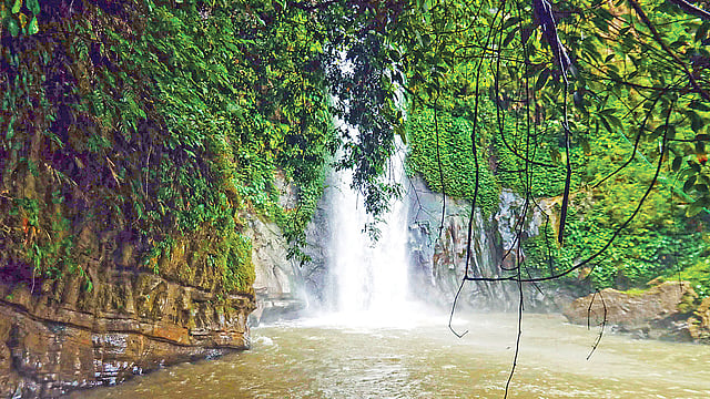 পর্যটকের আনাগোনা না থাকায় প্রাণ ফিরেছে প্রকৃতিতে। গত বুধবার মৌলভীবাজারের বড়লেখা উপজেলার মাধবকুণ্ড জলপ্রপাত পর্যটনকেন্দ্রে।  ছবি: আনিস মাহমুদ