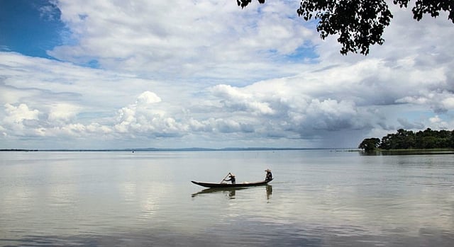 হাকালুকি হাওর, ফেঞ্চুগঞ্জ, সিলেট, ২৩ জুলাই। ছবি: ছামি হায়দার
