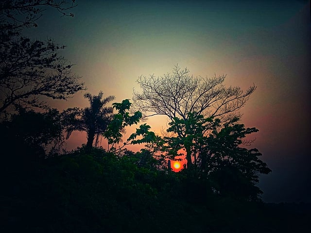 বেলা শেষে সূর্যের শেষ হাসি মিলিয়ে যাচ্ছে সন্ধ্যার আবছা মায়ায়। তাহেরপুর, খোকসা, কুষ্টিয়া, ২৪ জুলাই। ছবি: শাহরিয়ার সুমন