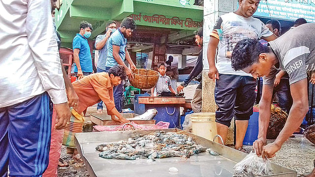 দক্ষিণের বিভিন্ন এলাকার ঘেরমালিকদের কাছ থেকে চিংড়ি কিনে রূপসা পাইকারি আড়তে আনা হয় বিক্রির জন্য। আড়তে দরদাম করছেন ফড়িয়ারা। ১৫ জুলাই সকালে।  ছবি: প্রথম আলো