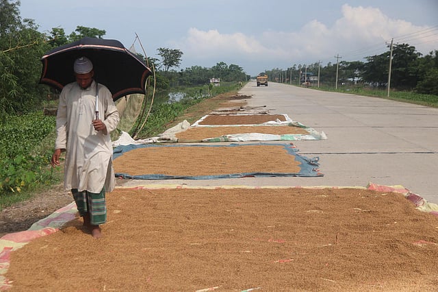 রাস্তার পাশে চাটাই ফেলে অবেলায় ধান শুকাচ্ছেন অনেকেই। এই বৃষ্টি এই রোদ—বর্ষার এমন প্রকৃতির সঙ্গে পাল্লা দিয়ে চলছিল তাঁদের ধান শুকানোর পালা। আরেক পাশে চলছে ভ্রাম্যমাণ ধান ভানার কল। গোলার ধান যদিও বর্ষা শেষে ভাঙানোর কথা, কিন্তু করোনায় আয়ের পথ বন্ধ বলে এই ধান বিক্রির টাকাতেই চলছে অনেকের সংসার খরচ। সম্প্রতি সিলেটের গোয়াইনঘাটের তোয়াকুলে। ছবি: আনিস মাহমুদ
