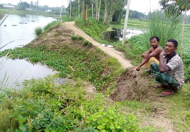 কৃষকেরা মাস্ক না পরে কাছাকাছি এভাবে জমির আইলে বসে গল্প করছেন। ১৩ জুলাই সাঘাটা উপজেলার হলদিয়া গ্রামে। ছবি: প্রথম আলো