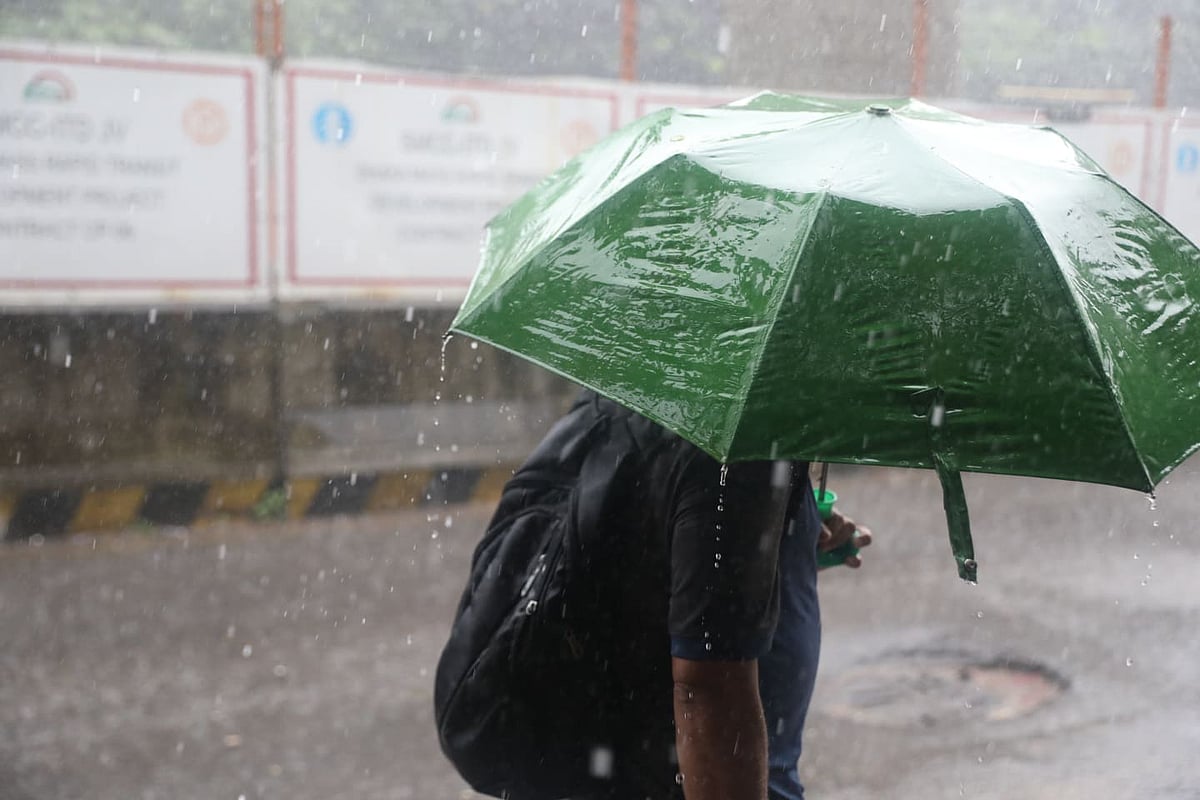 দুপুরে রাজধানী ঢাকায় শুরু হয় বৃষ্টি। শাহবাগ, ঢাকা, ২৮ জুলাই। ছবি: আবদুস সালাম