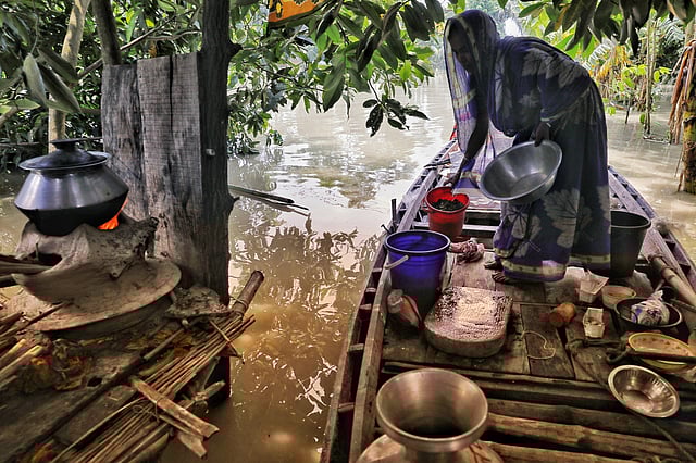 দোহার উপজেলার মধুচর গ্রাম ডুবে গেছে পদ্মার পানিতে। হাজেরা বেগমের বাড়িবন্যায় ডুবে যাওয়ায় এখন রান্নার কাজ করছেন নৌকাতেই।