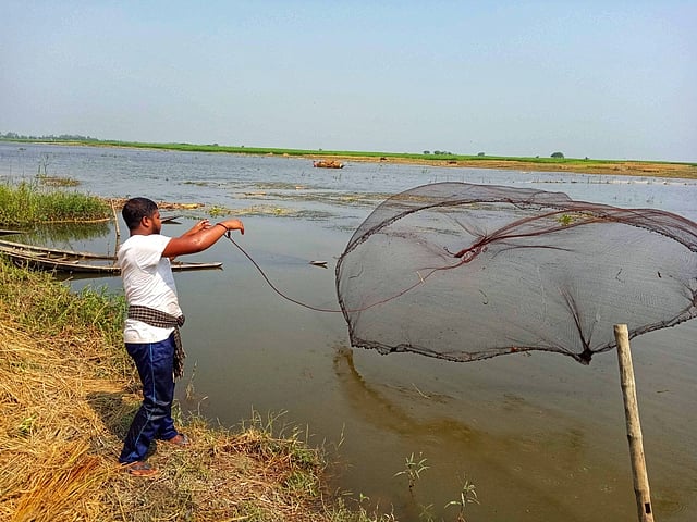 স্কুল–কলেজ সব বন্ধ, এই সময়ে মাছ ধরার মতো শৌখিনতা কেউ হাতছাড়া করতে চাইবে না! তেমনি একজন শখের বশে জাল দিয়ে মাছ ধরছেন পাশের পদ্মা নদীর শাখা থেকে। তাহেরপুর, খোকসা, কুষ্টিয়া, ২৮ জুলাই। ছবি: শাহরিয়ার সুমন