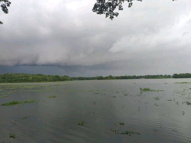গাল্লি বিল। ফেঞ্চুগঞ্জ রেলস্টেশন, সিলেট, ২৭ জুলাই। ছবি: ছামি হায়দার