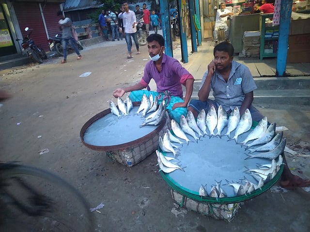 নদীর তাজা ইলিশ বিক্রি করছেন দুজন মাছ ব্যবসায়ী। সখীপুর বাজার, শরীয়তপুর, ২৮ জুলাই। ছবি: আসিফ আহমেদ