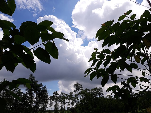 বর্ষায় রোদ-মেঘের খেলা। প্রকৃতির অপূর্ব সৌন্দর্য ফুটে উঠেছে। ফিশারিপাড়, কুতুবপুর, ফেঞ্চুগঞ্জ, সিলেট, ৩০ জুলাই। ছবি: মো. আব্দুস সালাম