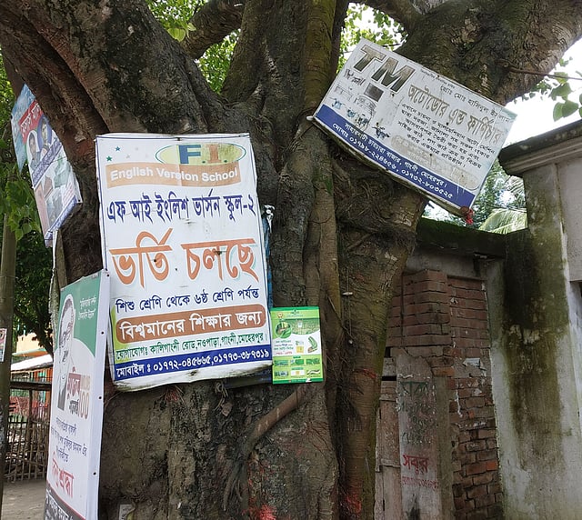 মেহেরপুরে গাছে গাছে পেরেক ঠুকে লাগানো হচ্ছে বিজ্ঞাপনের ব্যানার–ফেস্টুন। সম্প্রতি ছবিটি মেহেরপুরের গাংনী উপজেলার ধলা বাজার থেকে তোলা। ছবি: আবু সাঈদ