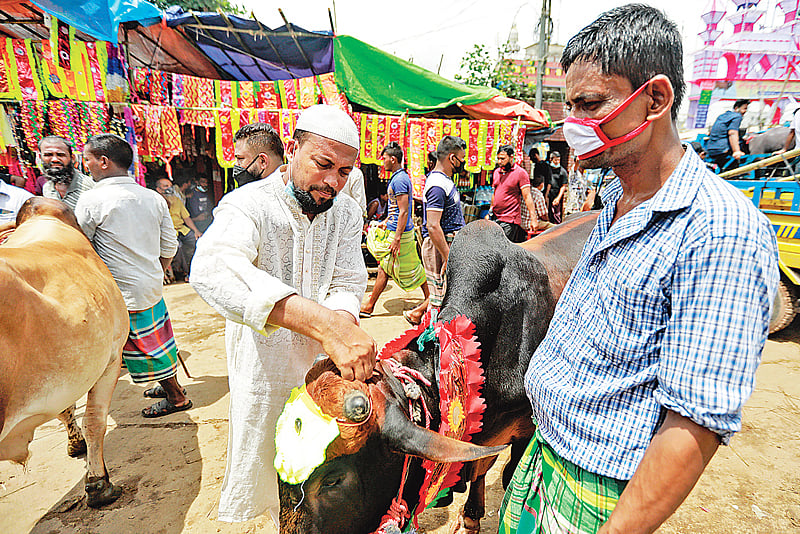 অনেকেই হাটে গরু কিনতে আসেন, কিন্তু করোনা সংক্রমণ এড়াতে মানেন না স্বাস্থ্যবিধি। মুখে মাস্ক ছাড়াই গরু পছন্দ করছেন এক ক্রেতা। গতকাল দুপুরে রাজধানীর গাবতলী পশুর হাটে। শুভ্র কান্তি দাশ