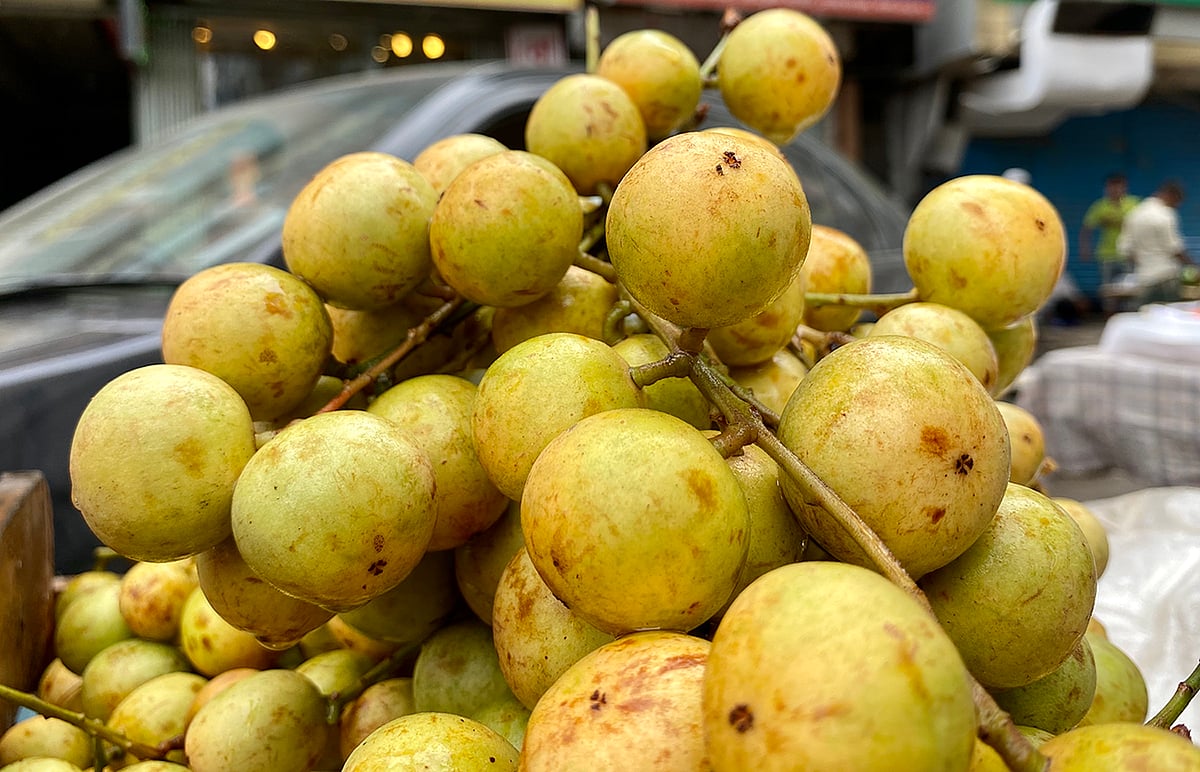 লটকন ভিটামিন সির ভালো উৎস। ছবি: প্রথম আলো