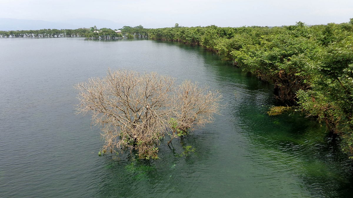 ঈদের সময় সুনামগঞ্জের তাহিরপুর উপজেলার টাঙ্গুয়ার হাওরে ভিড় জমান পর্যটকেরা। তবে করোনার কারণে এবার ঈদে দেখা নেই পর্যটকের। ছবি: প্রথম আলো