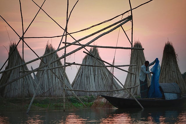 বর্ষায় নদীর পানি ক্রমেই বেড়ে চলেছে। মাছ শিকারের এখনই উপযুক্ত সময়। তাই তো জাল নিয়ে কর্মব্যস্ত এক জেলে। পশ্চিম গাড়াখোলা, মধুখালী, ফরিদপুর, ৩ আগস্ট। ছবি: তানভীর তানিম