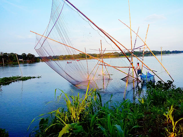 গ্রামীণ সৌন্দর্যের অন্য রকম দৃশ্য। বর্ষাকালে হরেক রকম মাছের সন্ধানে নদীতে জেলের সুনিপুণ কৌশলে জাল ফেলা। বেড়িবাঁধ, ফরিদপুর, ২ আগস্ট। ছবি: কাব্য সাহা