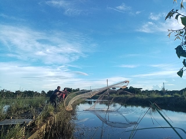 বিলের সব পানি ছোট খাল দিয়ে আসছে। পানির সঙ্গে আসছে ছোট ছোট টেংরা, পুঁটি, কই, শিং ইত্যাদি মাছ। গ্রামের মানুষ জাল দিয়ে সেসব ছোট ছোট মাছ ধরছে। বাদেকাবিলপুর, বিশ্বনাথ, সিলেট। ছবি: মো. তাজুল হক
