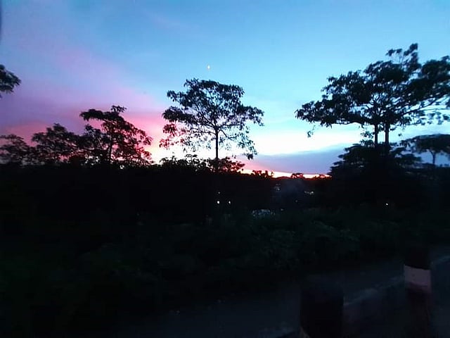 প্রকৃতির সাজ। ফেঞ্চুগঞ্জ ফেরিঘাট, সিলেট, ৪ আগস্ট। ছবি: ফরিদ উদ্দিন আজমানী