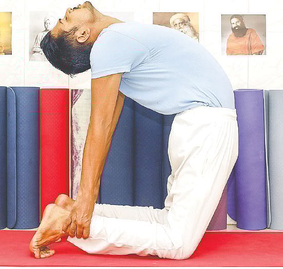 উষ্ট্রাসন