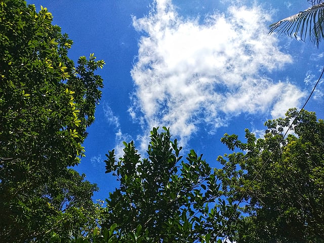 নিসর্গের রূপকথা। ফরিদপুর সদর, ফরিদপুর, ৫ আগস্ট। ছবি: পলাশ দেব রায়